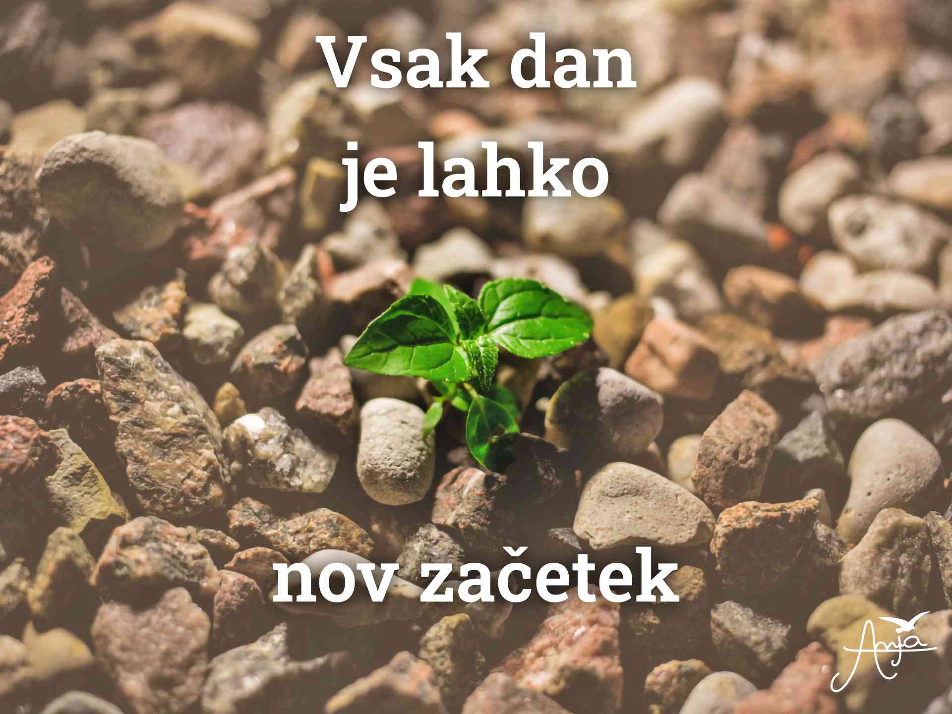Vsak dan je lahko nov začetek